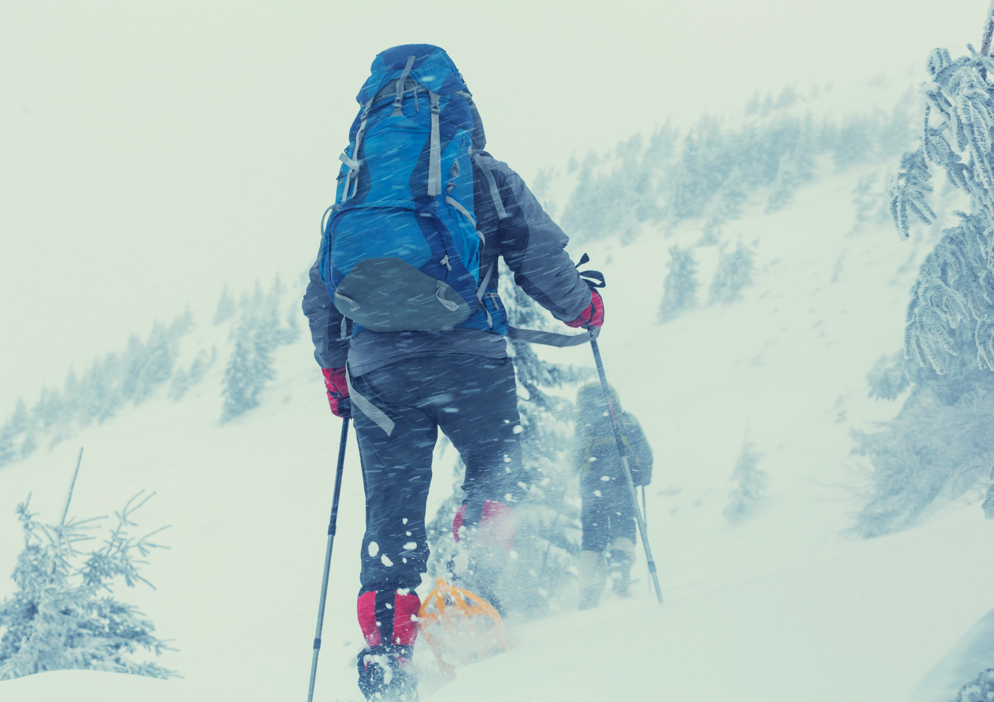 Winterwandern: Ein Abenteuer in der Stille der Natur